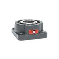 Moline Bearing 3 M3000 FLANGE EXP 19611300